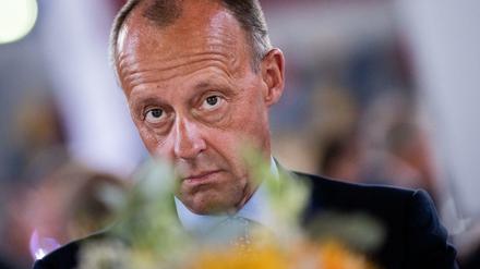 Starke Sprüche sind gefährlich - CDU-Vorsitzkandidat Friedrich Merz