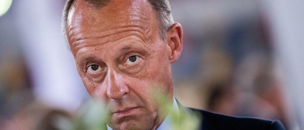 Starke Sprüche sind gefährlich - CDU-Vorsitzkandidat Friedrich Merz