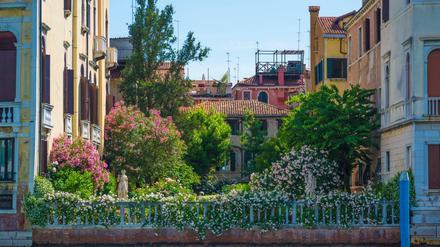 Venedigs Pracht: Garten am Canale Grande.