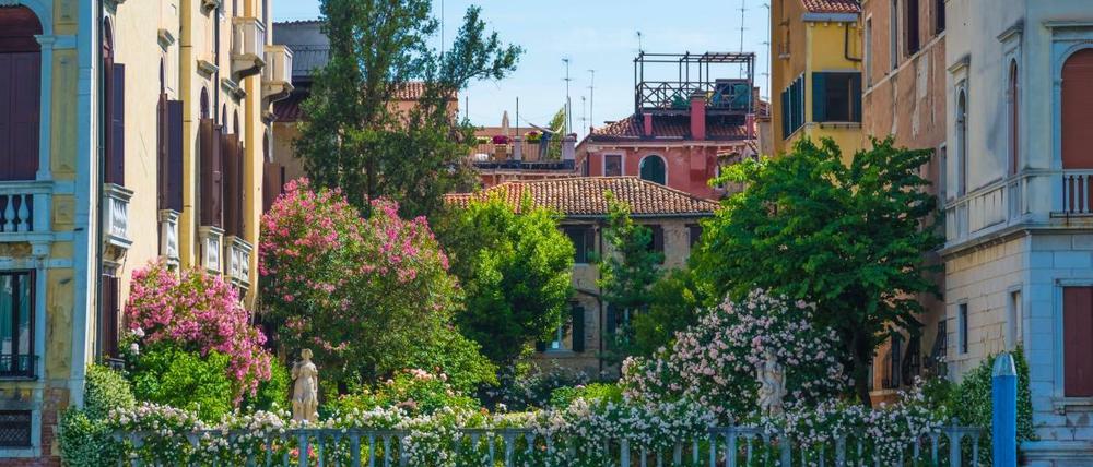 Venedigs Pracht: Garten am Canale Grande.