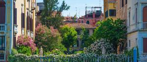 Venedigs Pracht: Garten am Canale Grande.