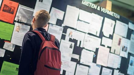 Ein Student steht an der Uni vor einem schwarzen Brett mit Wohnungsanzeigen.