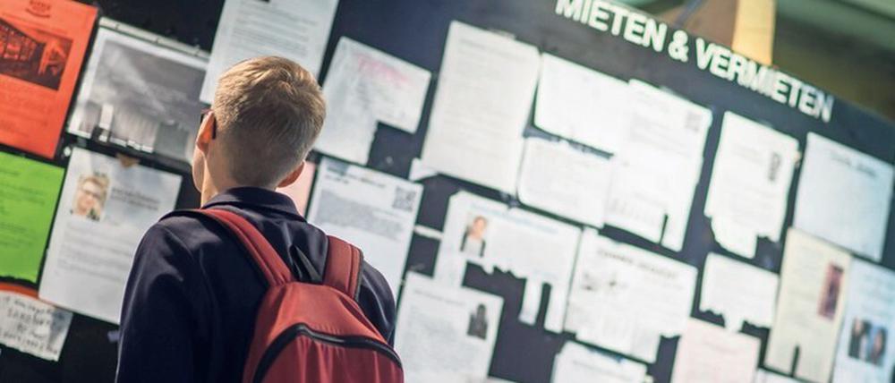 Ein Student steht an der Uni vor einem schwarzen Brett mit Wohnungsanzeigen.
