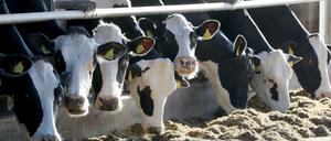 Die Landwirte fordern unter anderem die bessere Vermarktung ihrer Produkte in der Region.