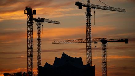 Die Kräne verschiedener Baustellen in der Hamburger Hafencity