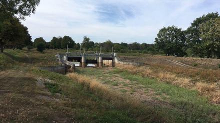Fluss ohne Wasser. Die Schwarze Elster im Sommer 2018. Da der Regen in Brandenburg ausblieb, fiel sie auch in den Jahren 2019 und 2020 trocken.