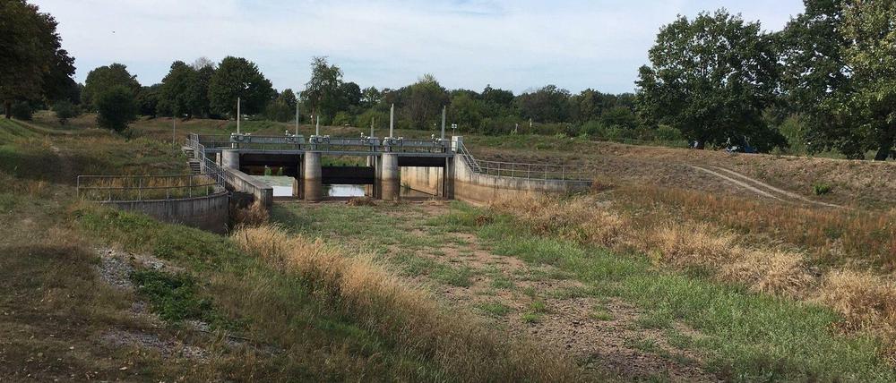 Fluss ohne Wasser. Die Schwarze Elster im Sommer 2018. Da der Regen in Brandenburg ausblieb, fiel sie auch in den Jahren 2019 und 2020 trocken.
