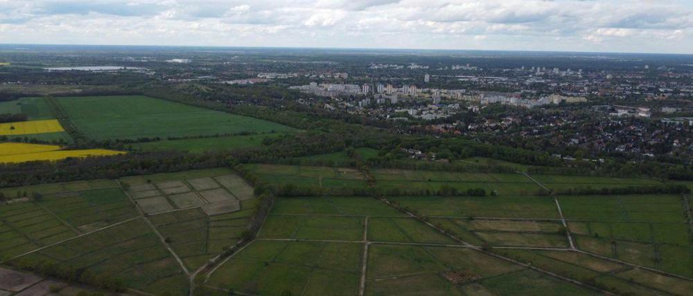 Blick nach Westen: Unten die Rieselfelder, hinten die Siedlung Heerstraße Nord und Hahneberg. Daneben: Brandenburg.