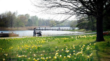 Die Bäume noch kahl, die ersten Blüten schon sichtbar: Der Britzer Garten ist zu jeder Jahreszeit einen Ausflug wert. Platz ist genug.