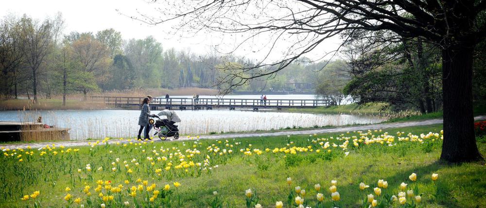 Die Bäume noch kahl, die ersten Blüten schon sichtbar: Der Britzer Garten ist zu jeder Jahreszeit einen Ausflug wert. Platz ist genug.