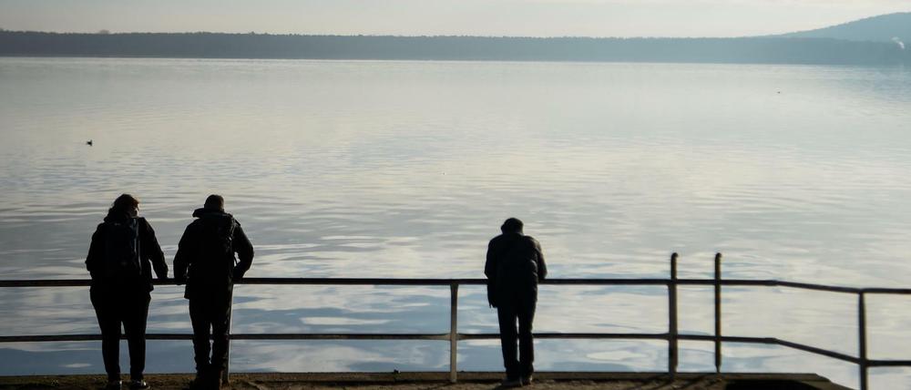 Der Große Müggelsee zeigt zurzeit auch viel vom Leben unter der Oberfläche.