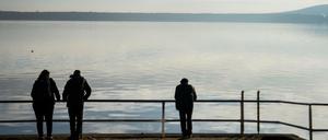 Der Große Müggelsee zeigt zurzeit auch viel vom Leben unter der Oberfläche.