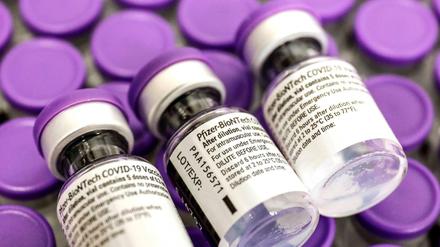 Ampullen des Impfstoffs von Biontech/Pfizer.
