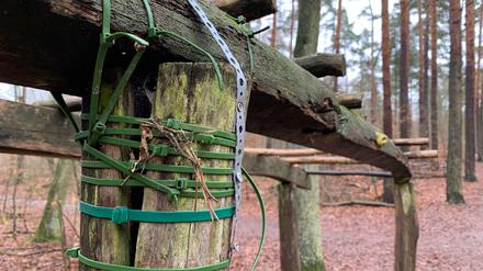 Januar 2021. Noch hält die Konstruktion im Grunewald. - Berlins Südwest-Newsletter: leute.tagesspiegel.de