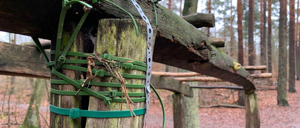 Januar 2021. Noch hält die Konstruktion im Grunewald. - Berlins Südwest-Newsletter: leute.tagesspiegel.de