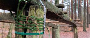 Januar 2021. Noch hält die Konstruktion im Grunewald. - Berlins Südwest-Newsletter: leute.tagesspiegel.de