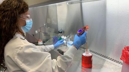 Eine Spezialistin arbeitet im Labor für Infektionskrankheiten der US-Firma Regeron an einer Zellkultur in einer mikrobiologischen Werkbank. Das Biotechnologie-Unternehmen stellt einen experimentellen Antikörper-Cocktail gegen Covid-19 her.