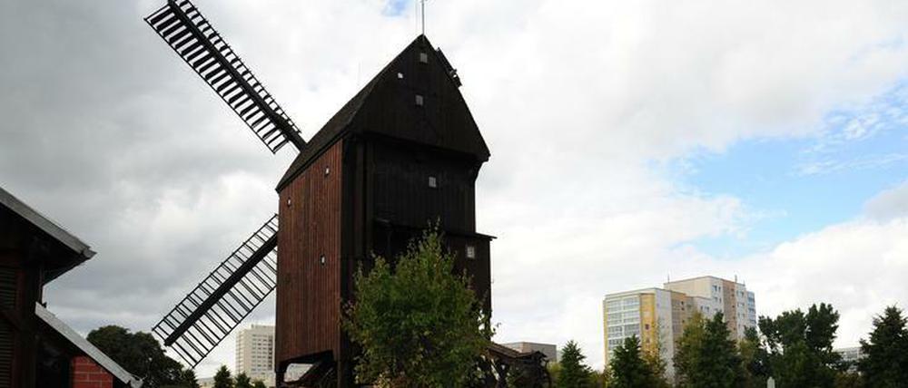 Die Marzahner Bockwindmühle von hinten gesehen vor Plattenbaukulisse.