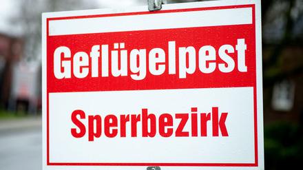 Ernstfall H5N8: Nach dem Geflügelpest-Ausbruch in der Putenmast wurde ein Sperrbezirk von drei Kilometern Radius eingerichtet.
