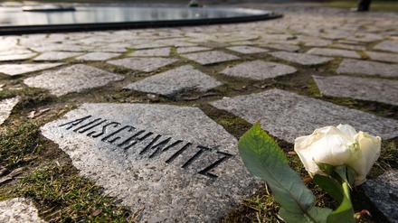 Bedroht? "Berührt" werde das Mahnmal der Sinti und Roma durch das S-Bahn-Vorhaben der Bahn, gibt Berlins Verkehrssenatorin Regine Günther zu.