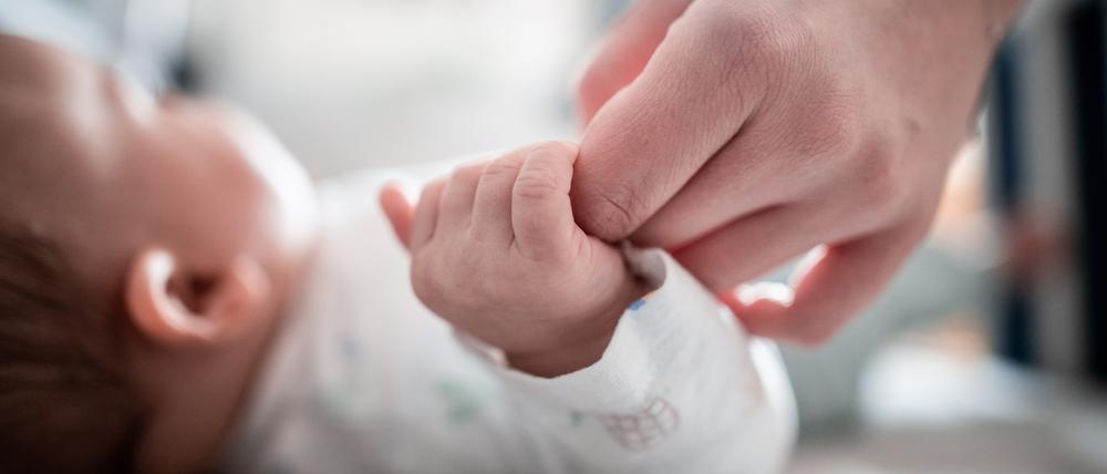 Mehr Zeit für ihre kleinen Kindern wünschen sich die meisten Eltern - die Reform des Elterngeldes soll das möglich machen.