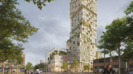 Rekord: Mit 98 Metern entsteht an der Schöneberger Straße das höchste Haus aus Holz Deutschlands.