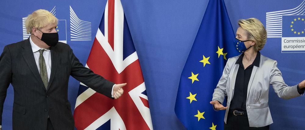 Ursula von der Leyen, Präsidentin der EU-Kommission, und der britische Premier Boris Johnson (am 9.12.2020 in Brüssel)