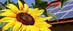 Lass die Sonne rein. Denn mit ihrer Hilfe und einer Solaranlage kann Strom erzeugt und das Klima geschützt werden.