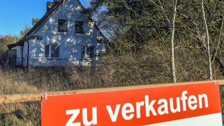 Wer illegal erhaltenes Geld in Umlauf bringen will, der geht zu einer Zwangsversteigerung.