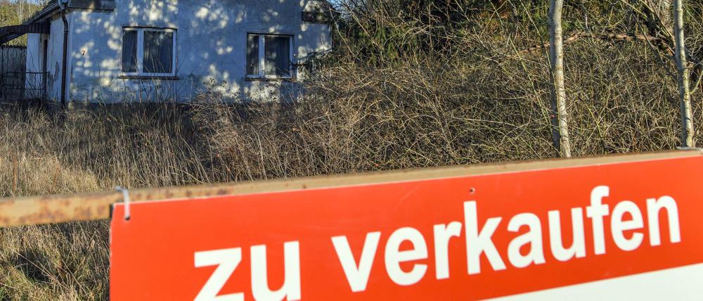 Wer illegal erhaltenes Geld in Umlauf bringen will, der geht zu einer Zwangsversteigerung.