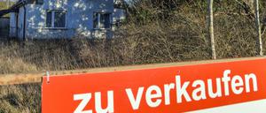 Wer illegal erhaltenes Geld in Umlauf bringen will, der geht zu einer Zwangsversteigerung.