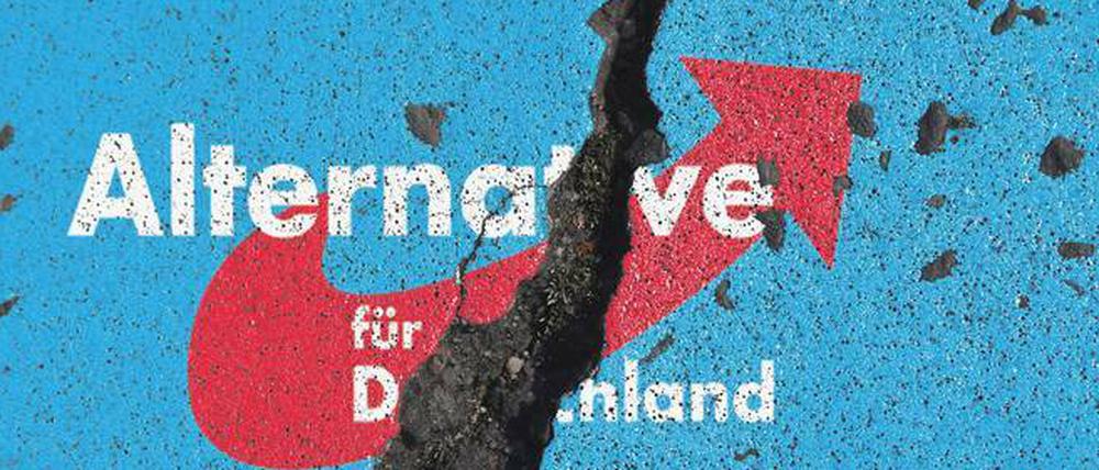 AfD-Logo auf einer rissigen Mauer.