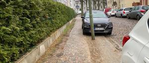 Garibaldistraße in Wilhelmsruh