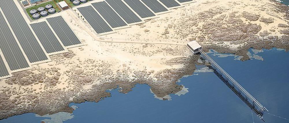 Für einen Betreiber von Kupfer- und Eisenminen in Chile hat das Potsdamer Ingenieur- und Planungsbüro Synlift eine Entsalzungsanlage auf Solarbasis entwickelt.