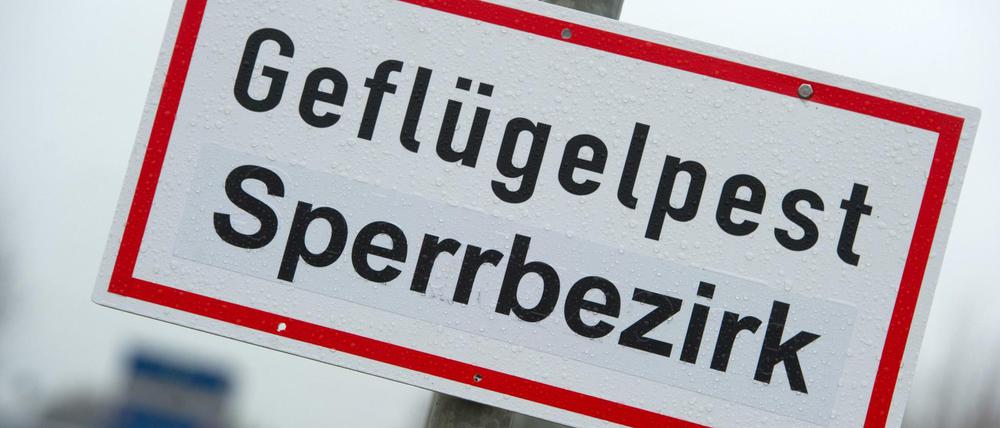 Ein Schild mit der Aufschrift "Geflügelpest Sperrbezirk" steht an einer Straße (Symbolbild).