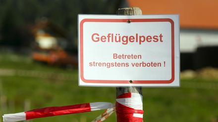 Weltweites Problem. In diesem Jahr ist nicht nur Deutschland von der Geflügelpest betroffen, sondern auch viele andere Länder.