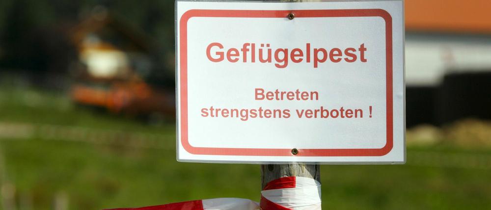 Weltweites Problem. In diesem Jahr ist nicht nur Deutschland von der Geflügelpest betroffen, sondern auch viele andere Länder.