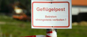 Weltweites Problem. In diesem Jahr ist nicht nur Deutschland von der Geflügelpest betroffen, sondern auch viele andere Länder.