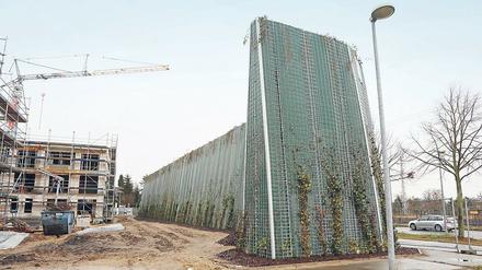 Gegen den Pegel. Die Mauer soll irgendwann wie eine große Hecke aussehen.