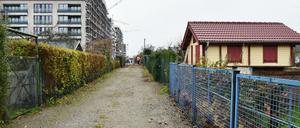 Kleingärten und Wohnungsbau könnten sich in Zukunft in Berlin immer häufiger in die Quere kommen.