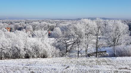Blick zu den Müggelbergen am Beginn der Winterferien. Die nächste Ladung Schnee dürfte der Wind von den Bäumen fegen.