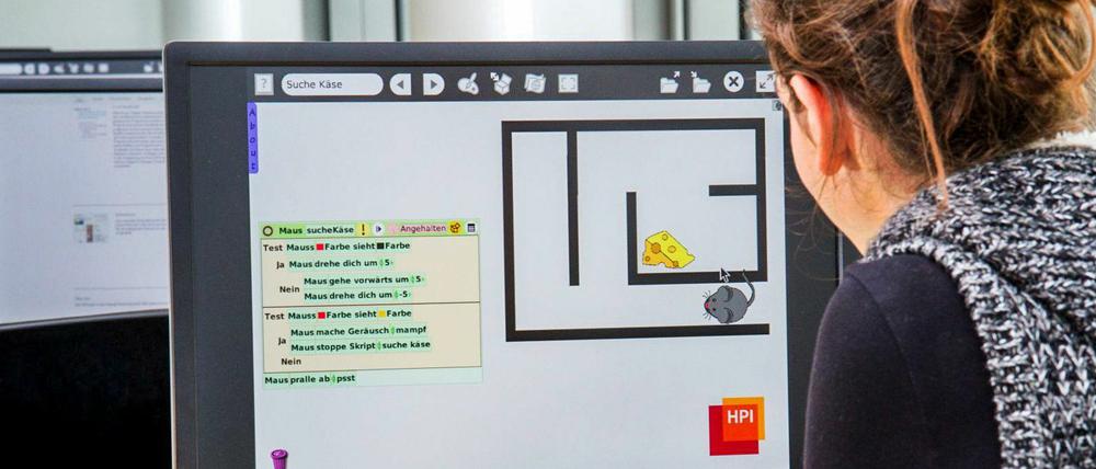 Einstieg in die Informatik: Visuelles Programmieren mit vorgegebenen Textbausteinen.