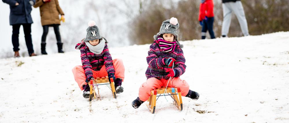 Endlich wieder Schlittenfahren - aber manchmal wachsen kostbare Pflanzen unterm Schnee.