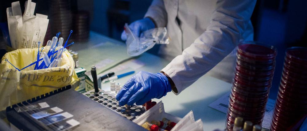 In Laboren läuft der Kampf gegen das Coronavirus.