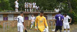 Die Spieler von Tennis Borussia (hier vor der Aufnahme des Mannschaftsbildes im Sommer) müssen sich weiter gedulden.