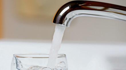 Kein Genuss: Das Trinkwasser im "Lichtenhain" ist hoch kontaminiert.