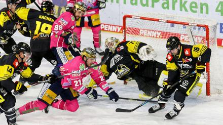 Pinguine in Panik. Es ging hoch her in Krefeld.