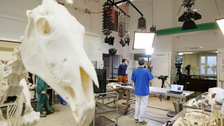 In einem Anatomiesaal für Tiere steht ein Professor vor der Kamera, im Vordergrund ist ein Pferdeskelett zu sehen.