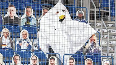 Auch in der DEL gibt es Pappaufsteller in den Hallen. Zuschauer sind nicht erlaubt. 