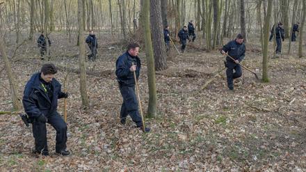 Eine Hundertschaft sucht im März 2019 in einem Waldstück bei Kummersdorf nach Rebecca Reusch.